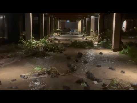 Hurricane Lowell's impact in Hawaii captured in vidoes