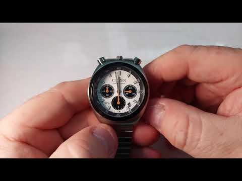 Citizen Bullhead Panda Review - AN3660-81A