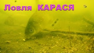 Ссылка