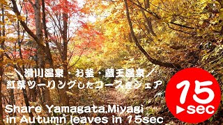 滑川温泉・お釜・蔵王温泉を紅葉ツーリング！15秒でシェア。Share Yamagata and Miyagi in Autumn leaves in 15sec.