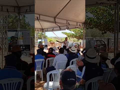 Dia de campo da pequária leiteira - Ibiassucê-BA 29/08/2026
