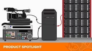 IngeSTore Multi-channel Capture Software