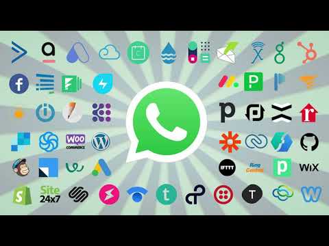 PickyAssist Whatsapp API, Free trial & download available