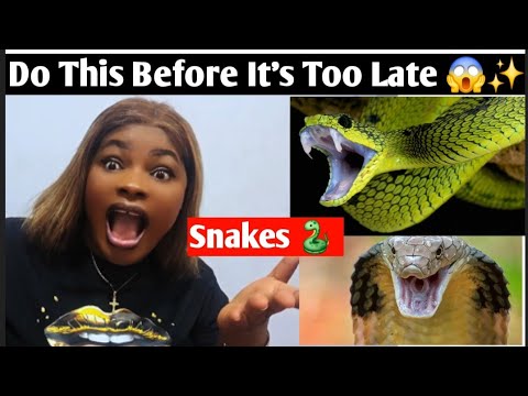 Dreaming of Snakes? Do This Before It’s Too Late 😱✨