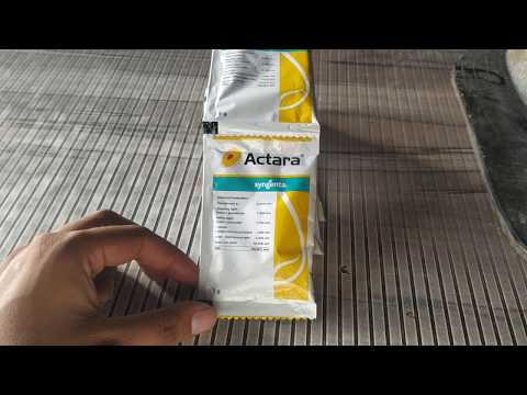 Powder Syngenta Actara Insecticide, Thiamethoxam 25% Wg, 500 g