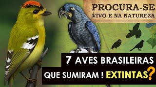 DESAPARECERAM da Natureza | 7 Aves brasileiras que desapareceram - Extintas ou não?