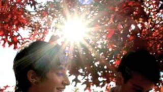 The Scene Aesthetic - Humans