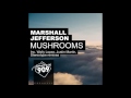 Marshall Jefferson Mushrooms Justin Martin Remix