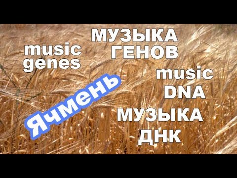 férgek betegségének százaléka