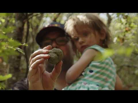 Caccia al tartufo na Toscana - Agriturismo Diacceroni