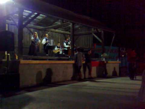 Ansambel Zakrajšek - Dekle iz Ribnice (Mihelič)