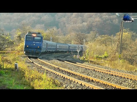 Horns Concert de Goarne By GM 65-0990-5 in Stana [Autumn Edition] - 15 November 2014