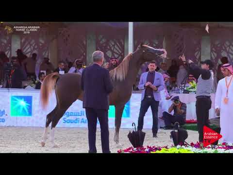 130AsharqiaThursday   22 febbraio 2018   03 15 03