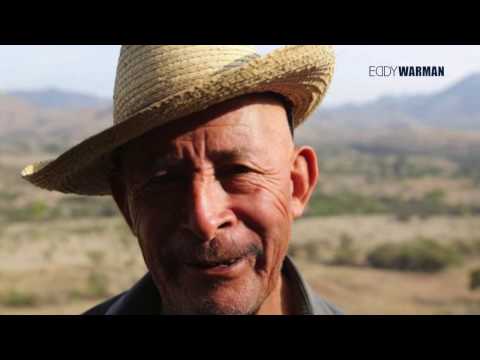 download lagu mp3 mp4 Mezcal De Leyenda Guerrero, download lagu Mezcal De Leyenda Guerrero gratis, unduh video klip Mezcal De Leyenda Guerrero