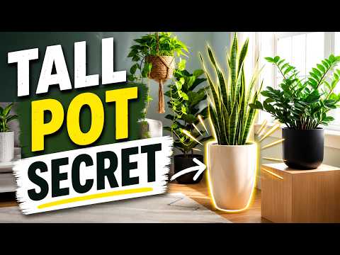 How to Plant Indoor Plants in a Tall Pot Without Killing Them!