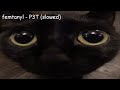 Femtanyl P3T Slowed Daycore Anti Nightcore Whatever