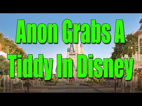 4chan Stories: Anon Grabs A Tiddy In Disney