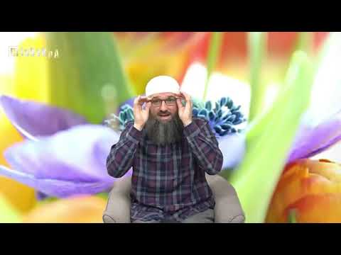 Lijek za licemjerstvo - Elvedin Pezić