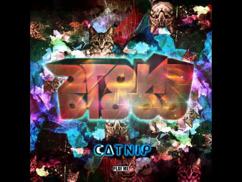 2TONEDISCO - Catnip (Original Mix) [Play Me Free]
