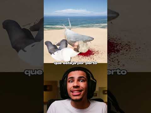 O Que Fazer se Encontrar Um Tubarão Encalhado na Praia 🦈🏖️🚨