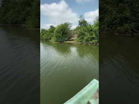 Pescando en el Río de Cazones Veracruz