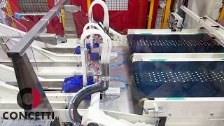 Innovative pet food bagging system The new line is the world`s first dry pet food filling line to incorporate an inline seal verification system