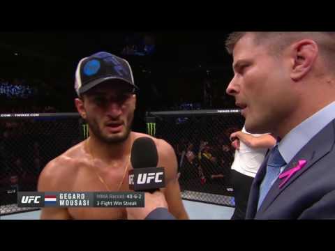 Gegard Mousasi Thinks That People Are Stupid