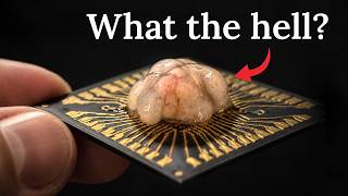 We're Not Ready for Biocomputing