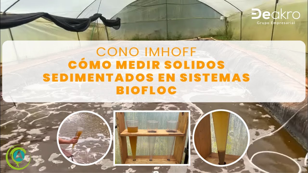 Como medir sólidos sedimentables en sistemas Biofloc con el cono Imhoff