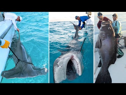 Greatest Fishing Videos of All Time