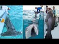 Greatest Fishing Videos Of All Time