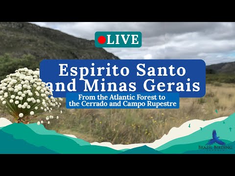 Espirito Santo and Minas Gerais Tour  | BBE Lives #7