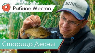 На что ловится желтощек в рыбном месте