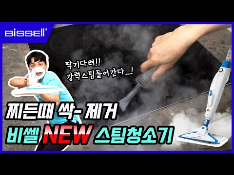 Bissell Powerfresh Multi 2in1 3004S Steam Cleaner