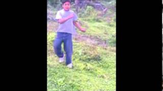 preview picture of video 'TLACOATZINTEPEC  Tlacuachito bailando en el cerro'
