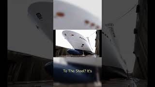 Cruise Ships Aren't What They Used to Be #cruise #shorts