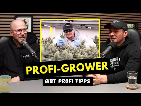 Profi-Grower gibt Profi Tipps - Im Talk mit Ben von GrowMotion *