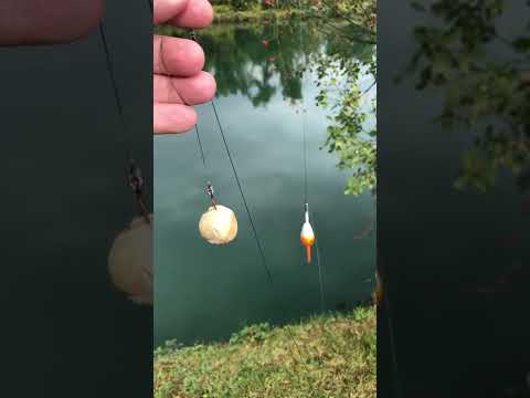 Let’s Break BREAD - Big Fish Hack! 🎣🍞🥖🥐 #shorts