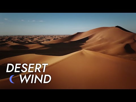 Desert Wind Sound - 10 Hours - Stress Relief | Meditate - Sleep - Study | Desert Winds