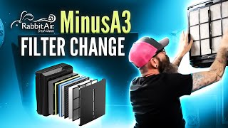 Rabbit Air MinusA3 Filter Pack Change | PropStyle 2024