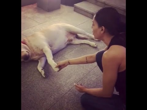 Sushmitha sen playing with her Dog Bullet fun time 2018
