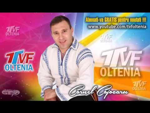 Marinel Purcelan si Formatia Cornel Cojocaru - Colaj instrumentala LIVE Muzica de petrecere