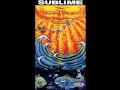 Sublime - Ain't No Prophet