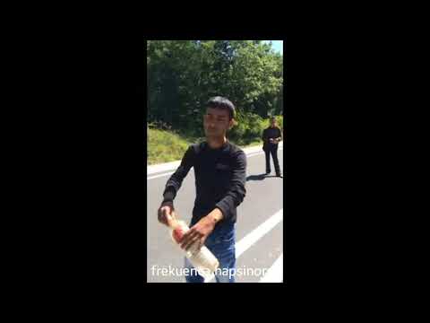 Mokja kap Gjarprin ne Kucove! HD