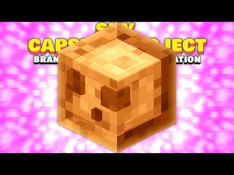 SUPREME STORAGE & PINK SLIME GENERATION! EP7 | Minecraft Sky Capsule Project [Questing SkyBlock]