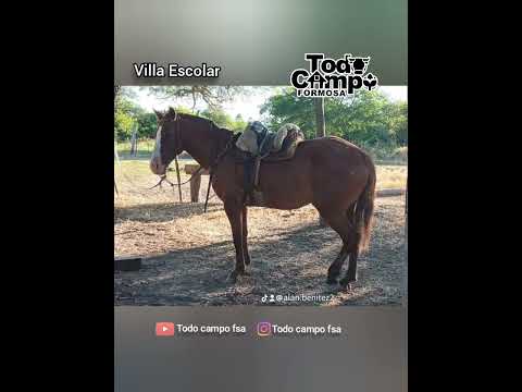 Genta linda de Villa Escolar 🙋