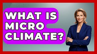 What Is Micro Climate? - Weather Watchdog