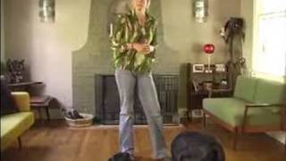 How to Train Your Dog : Prevent Your Dog from Barking at the Front Door: Part 1