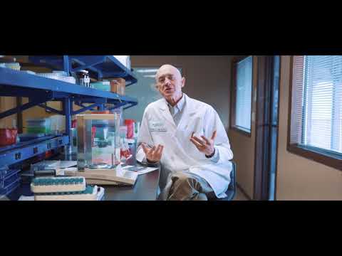 How the Omega 3 Index compares to other omega 3 tests