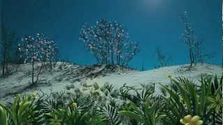 Imaginary Cities - Hummingbird